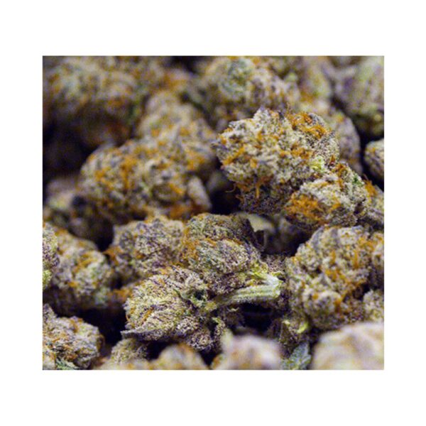 apple fritter bag photo