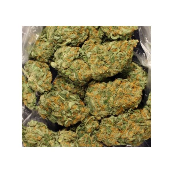 ak 47 bag photo