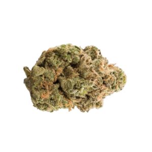9 pound hammer bud