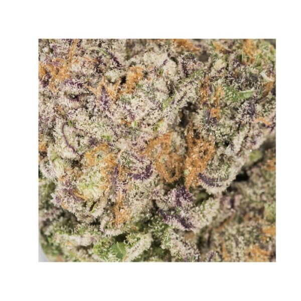 god bud close up aaaa