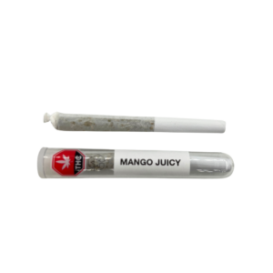 An Indica Dominant Pre Roll labeled "Mango Juicy" resting above a glass container holding another identical pre-roll, both displayed on a clean white background