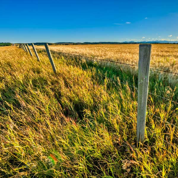 QuantzLaw-1317347977