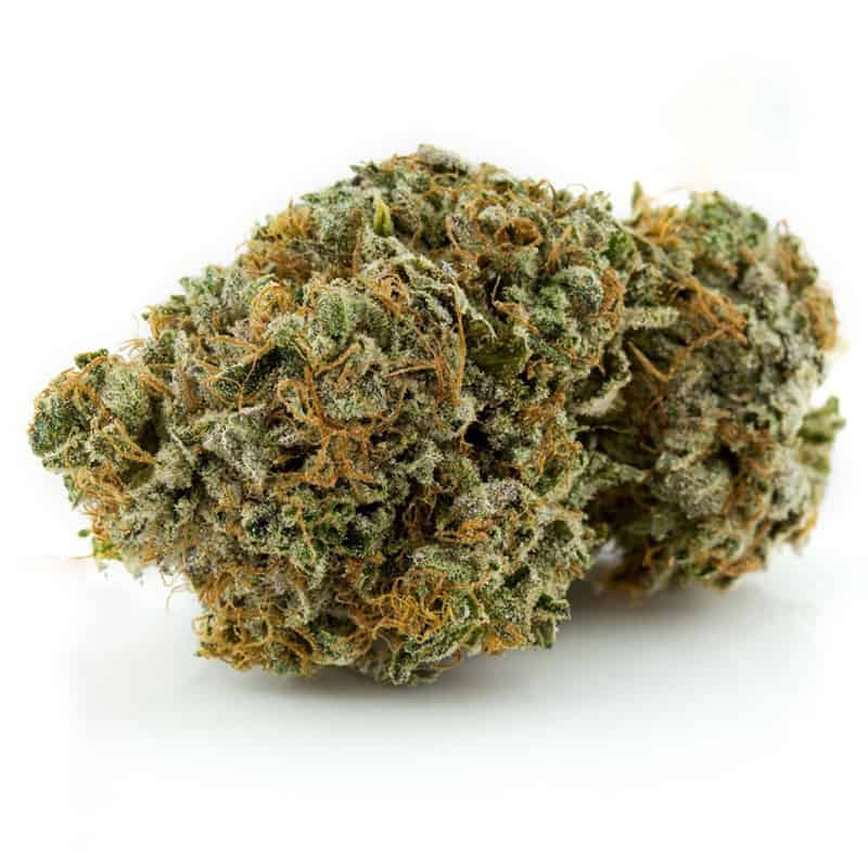 An image of Strawberry Lemonade marijuana on a white background