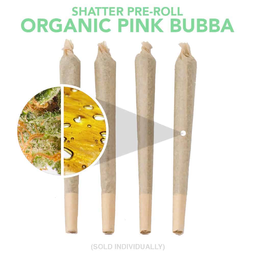 Goldbuds Shatter Pre Roll - Organic Pink Bubba - 1g Indica