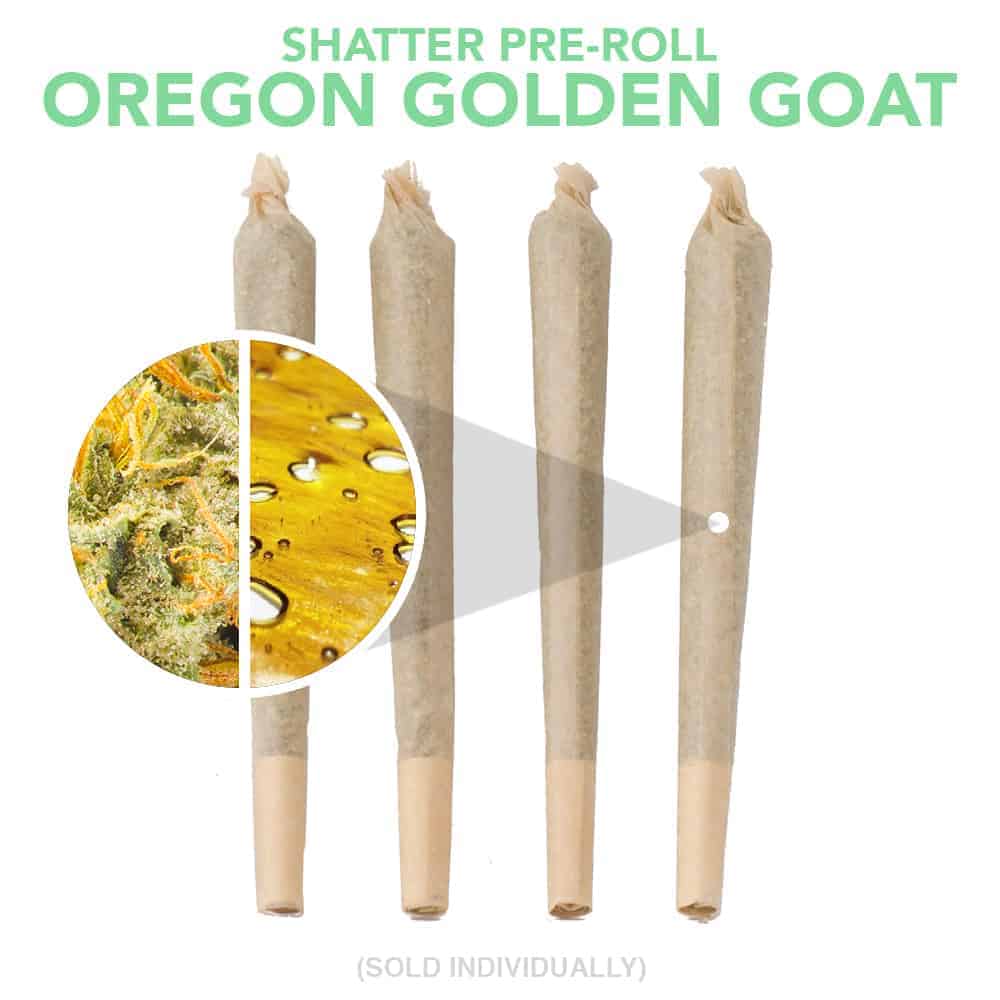 Goldbuds Shatter Pre Roll - Oregon Golden Goat - 1g Indica
