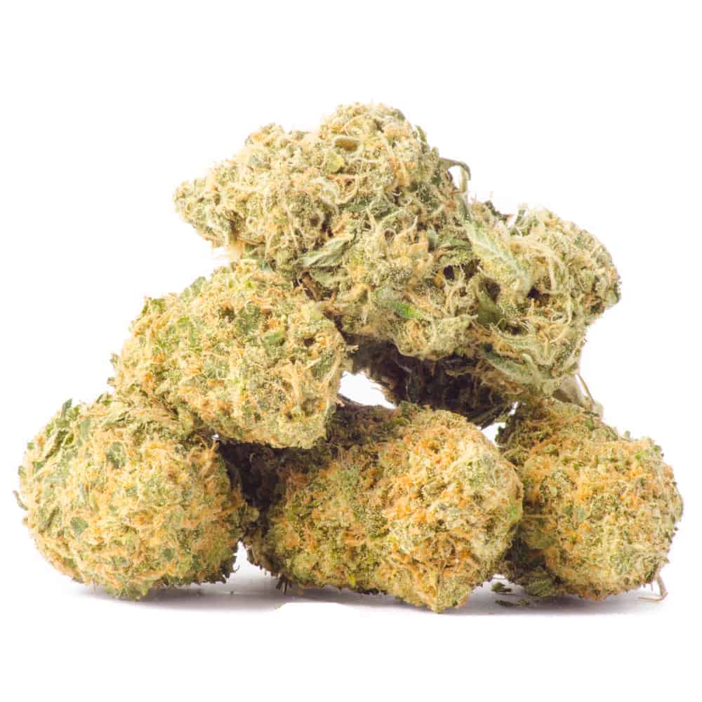 Orangic Zelly's Gift - Sativa - 1oz