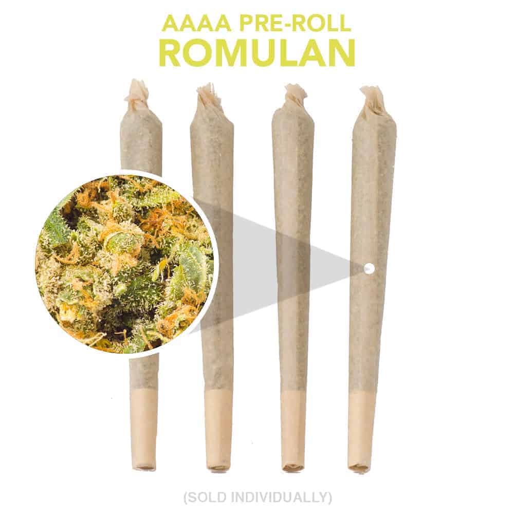 AAAA Pre Roll - Romulan - 1g Indica