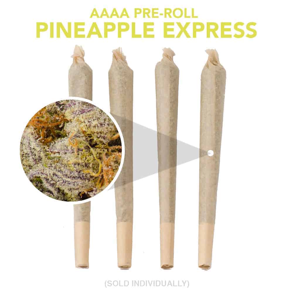 Goldbuds - Pineapple Express - Hybrid Pre Roll - 1g