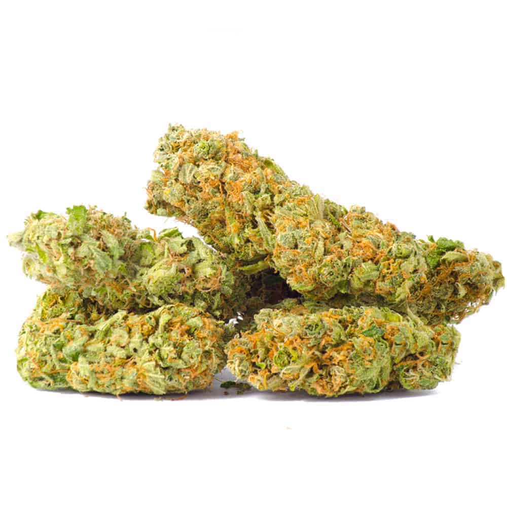 Organic Orange Crush - Hybrid