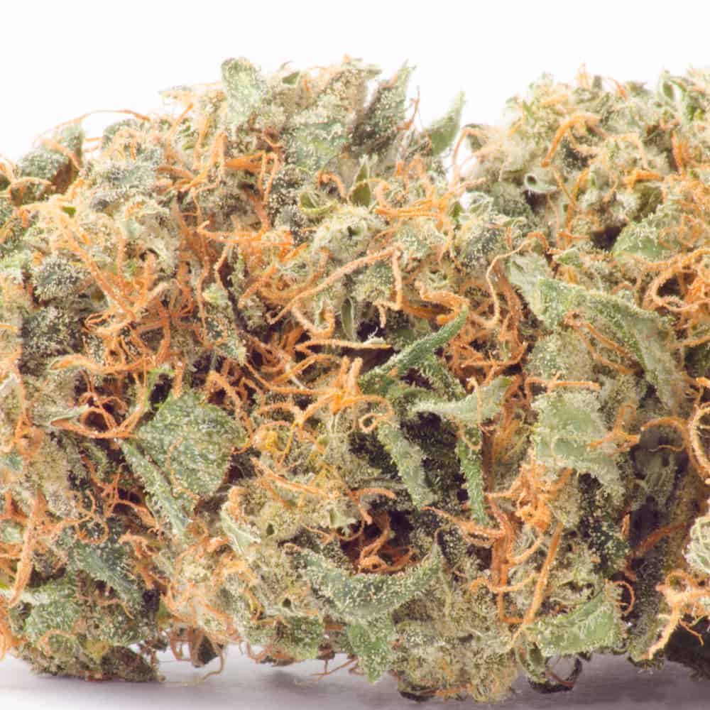 Sweet Tooth - Indica - 1oz